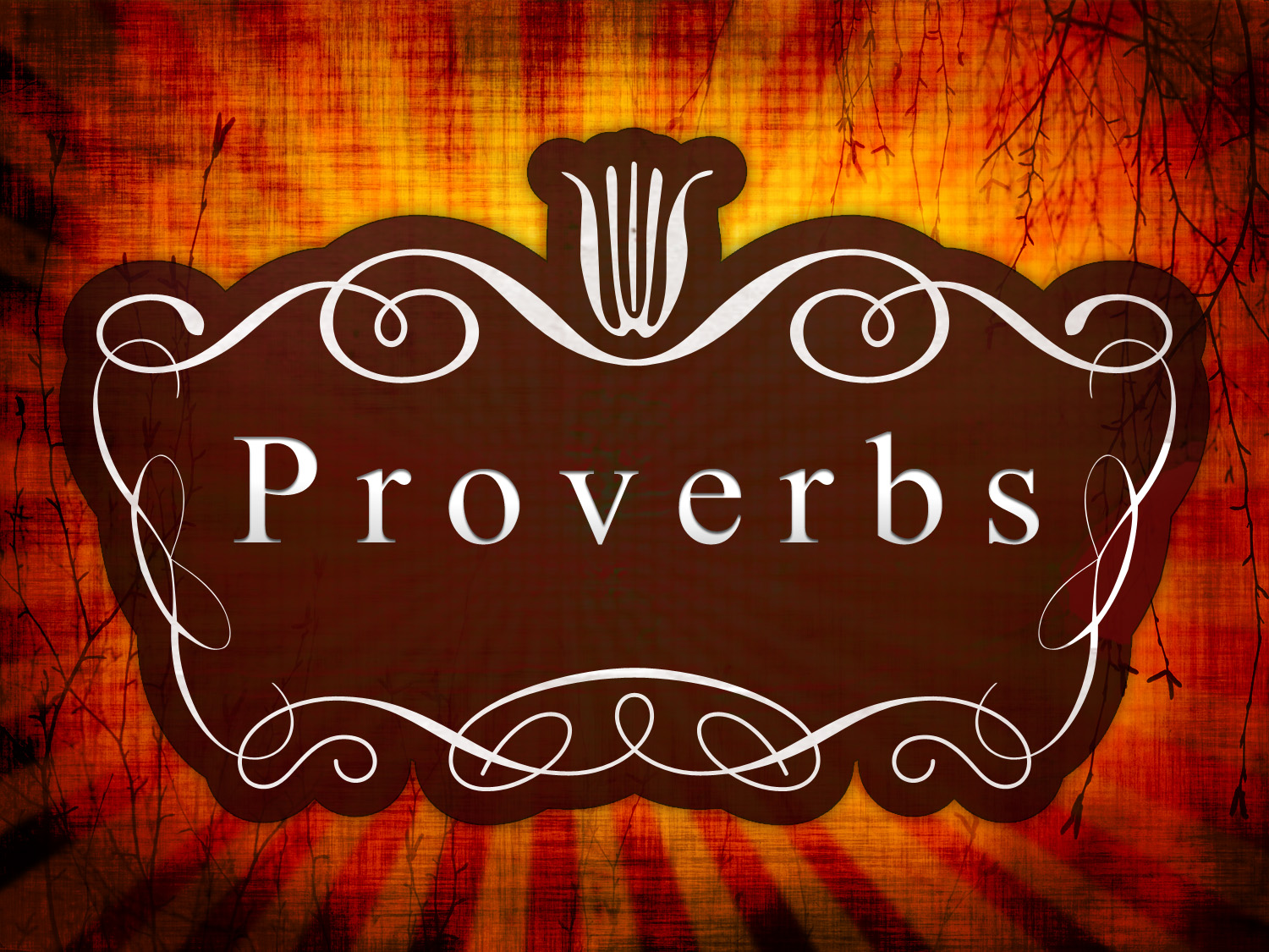 proverbs_t_nv4.jpg